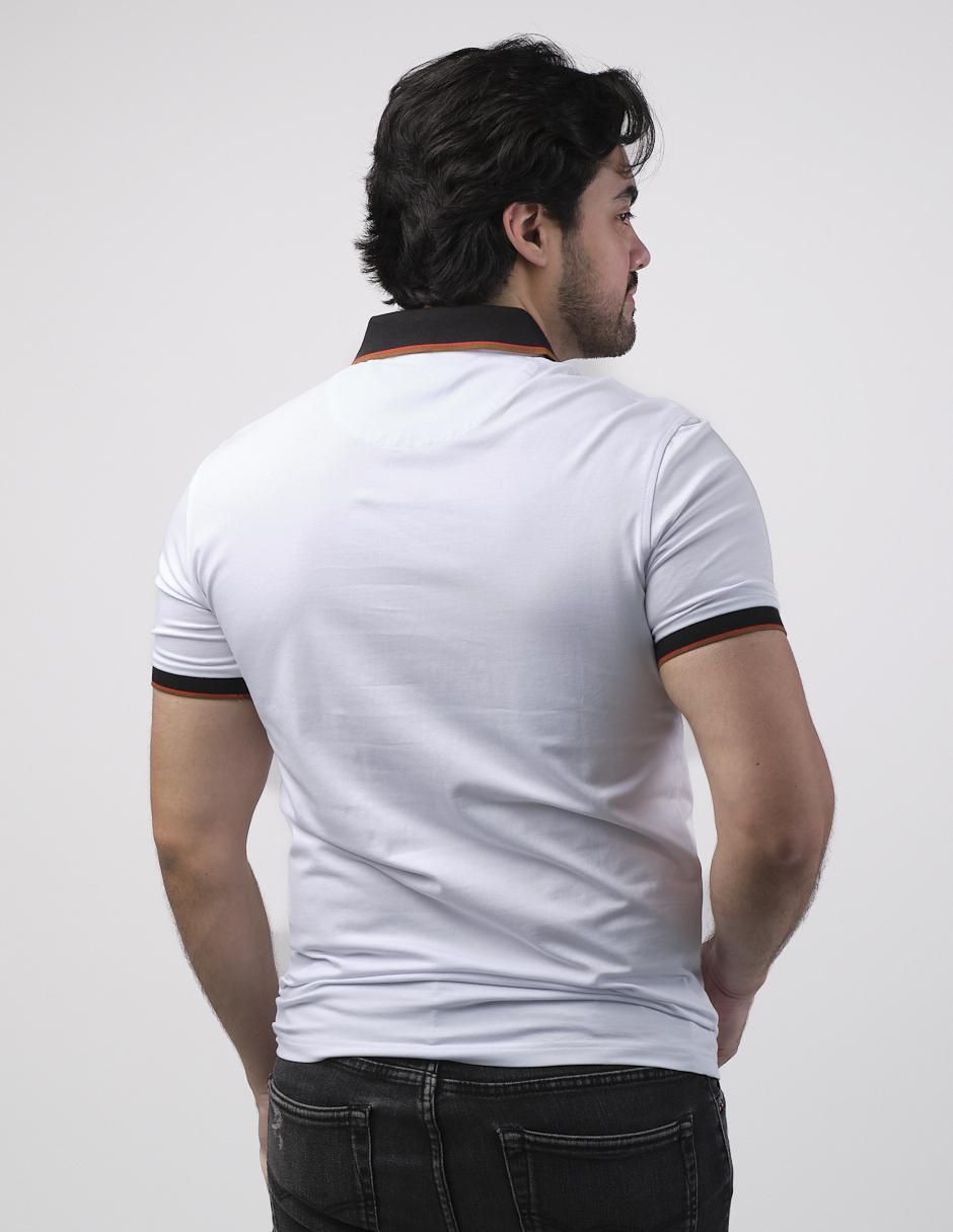 Playera tipo polo para hombre 2