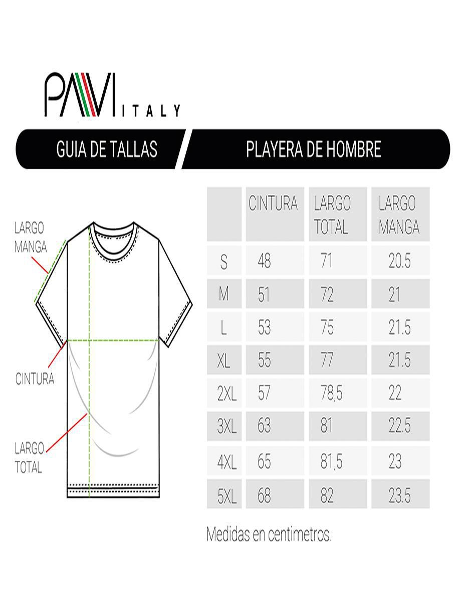 Playera Pavi Italy cuello redondo para hombre