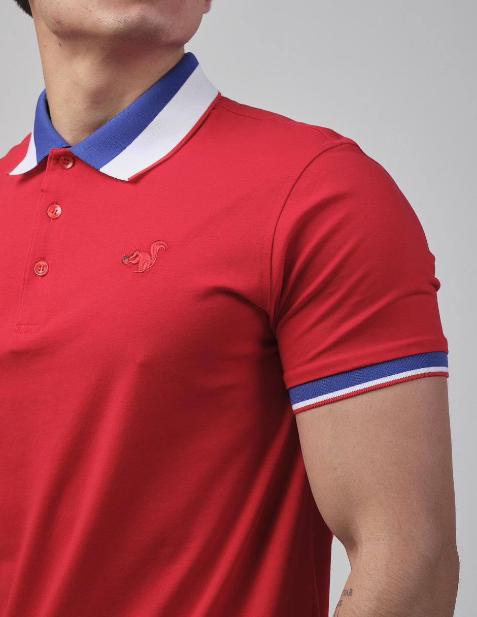 Playera tipo polo para hombre 4