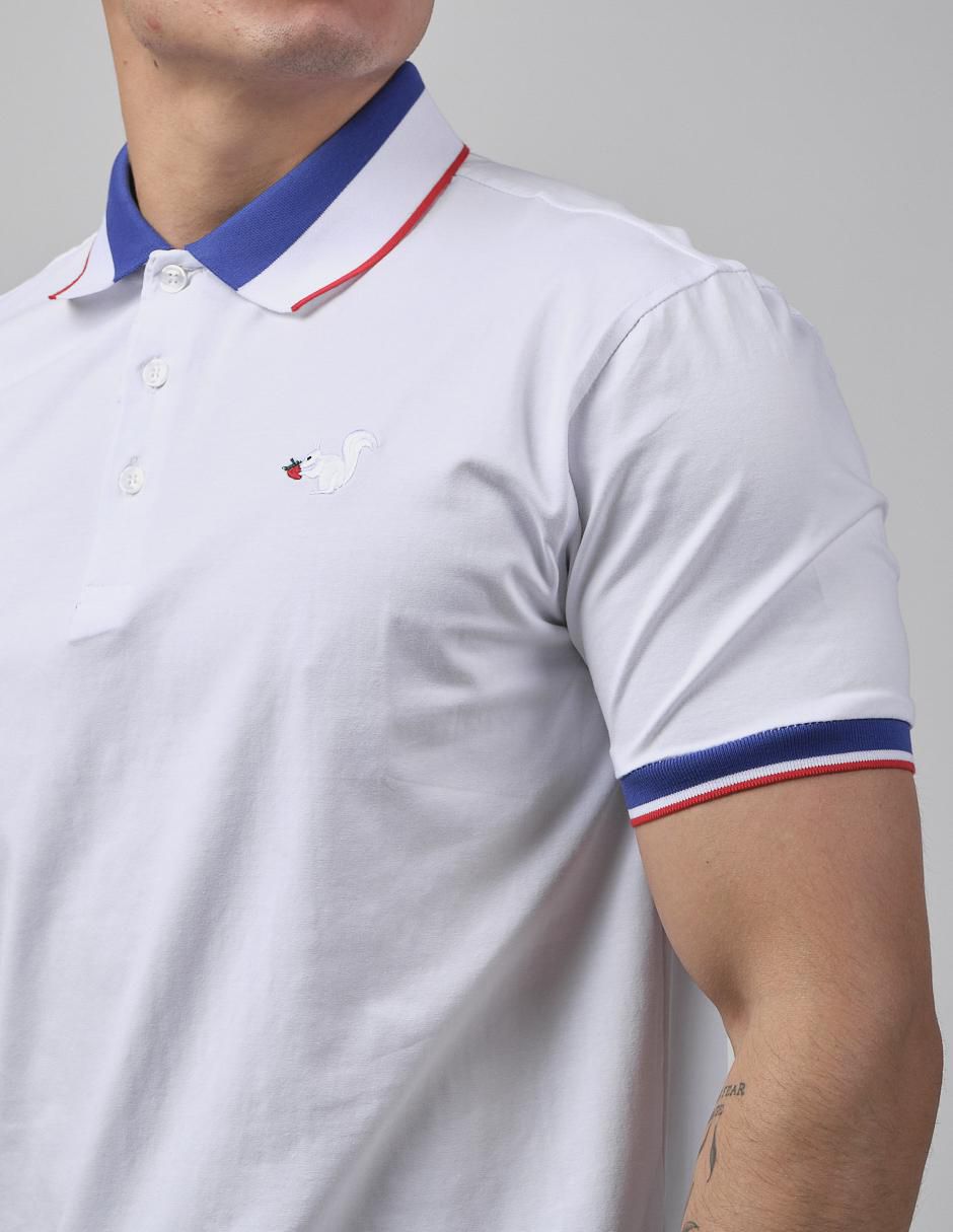 Playera tipo polo para hombre 4