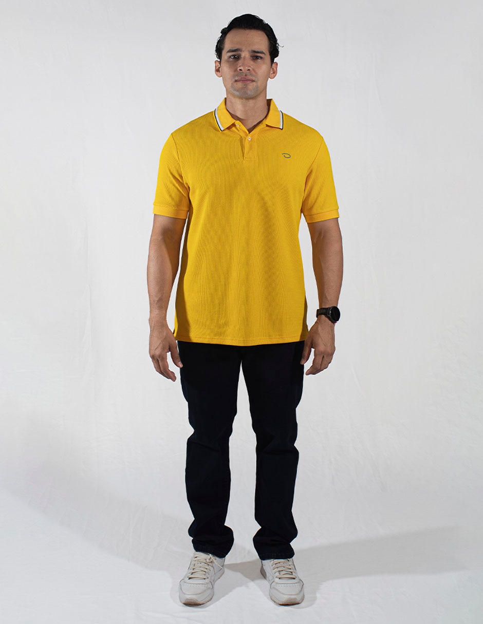 Playera tipo polo para hombre 2