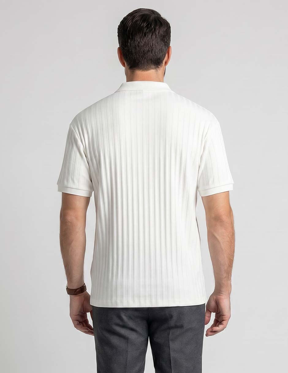 Playera tipo polo para hombre 2