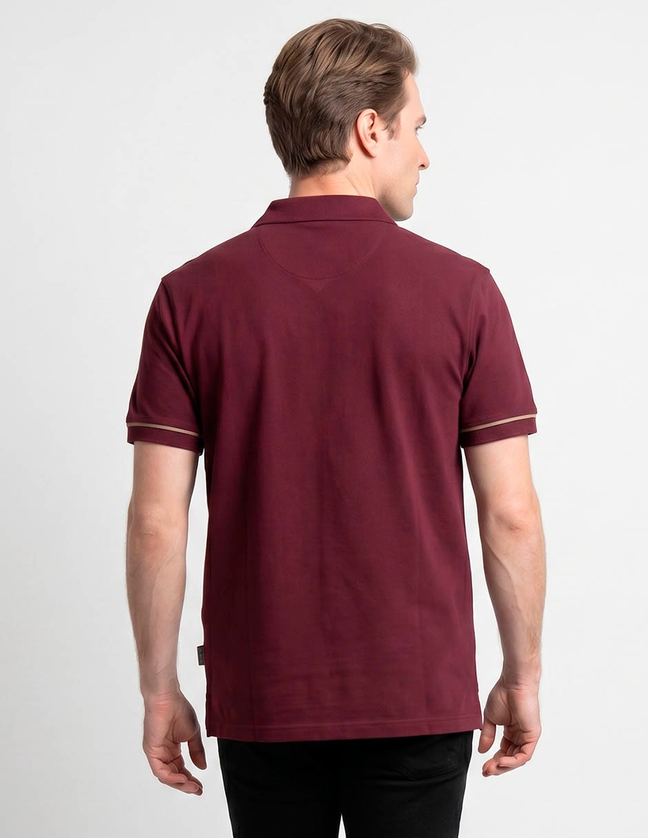 Playera tipo polo para hombre 2