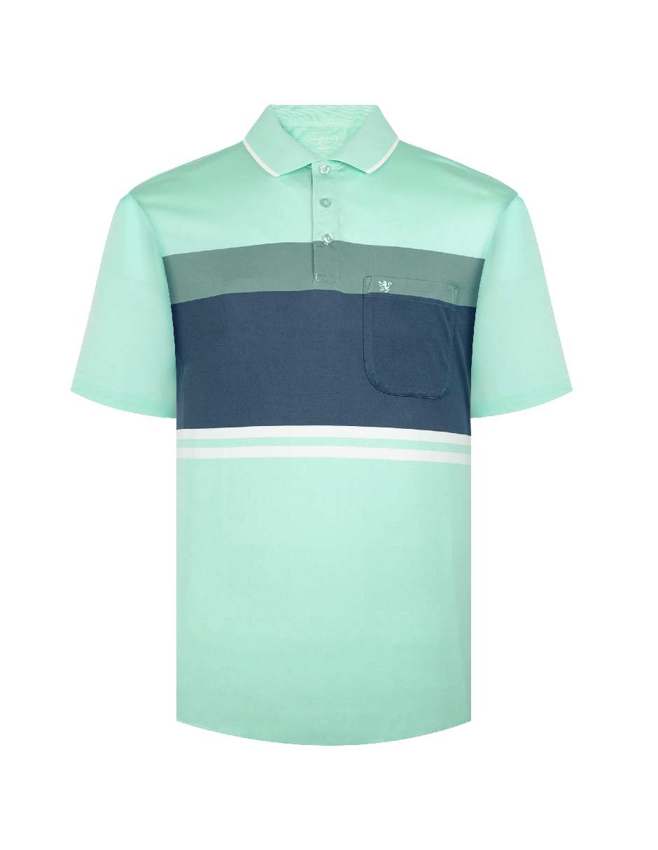 Playera tipo polo para hombre 2