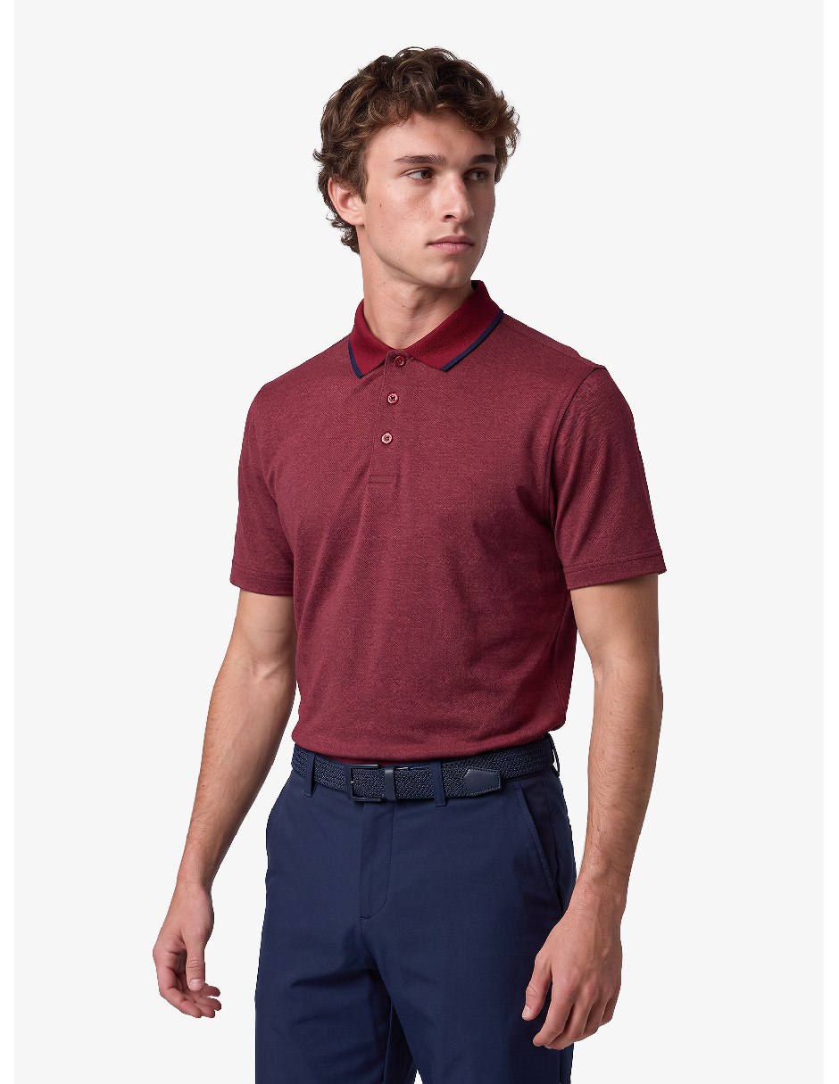 Vino 3