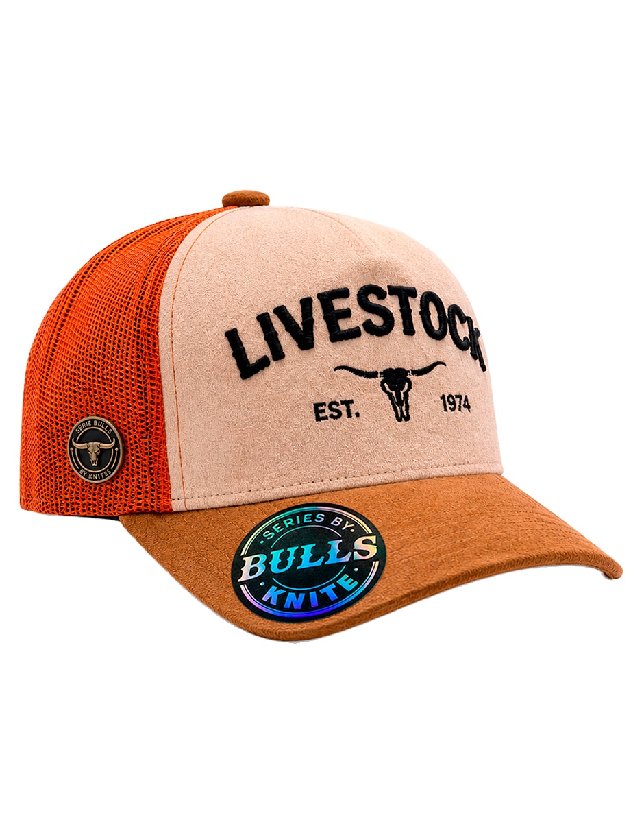 Gorra visera curva snapback casual para hombre Gorra visera curva snapback casual para hombre