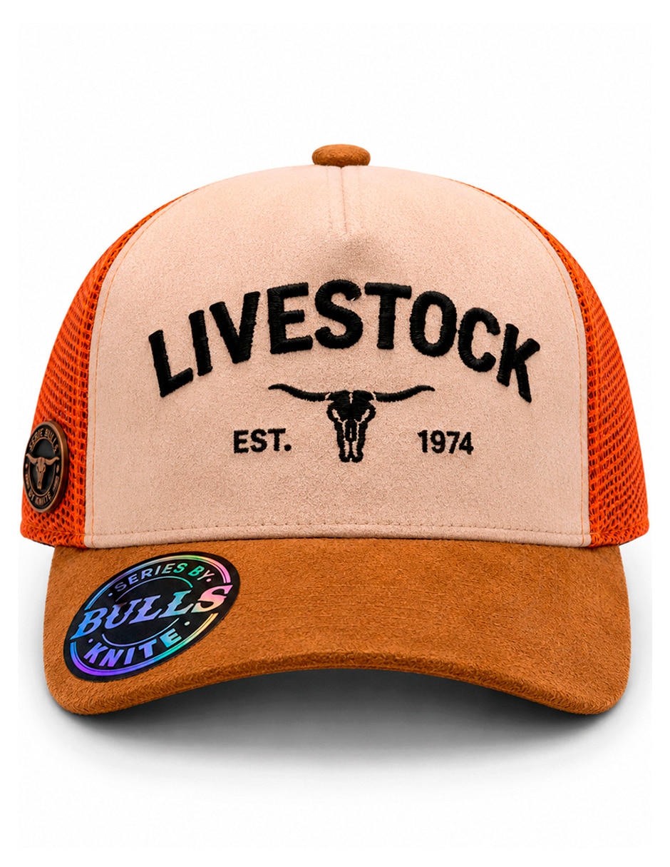 Gorra visera curva snapback casual para hombre 5