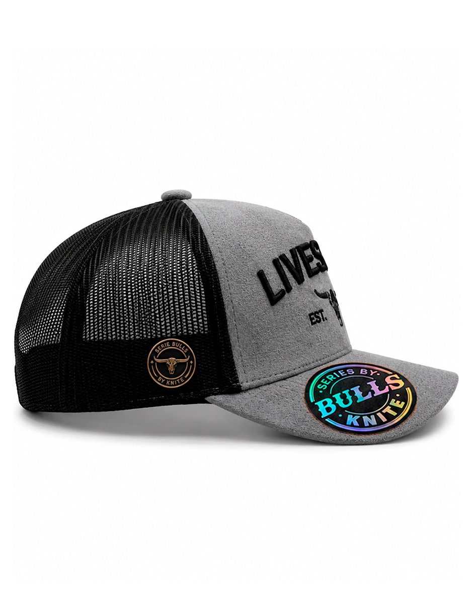 Gorra visera curva snapback casual para hombre