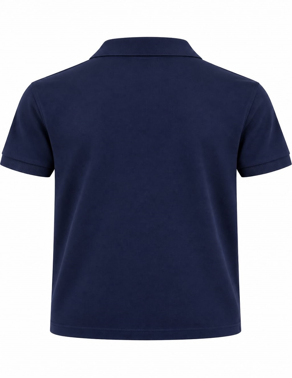 Playera tipo polo para hombre 2