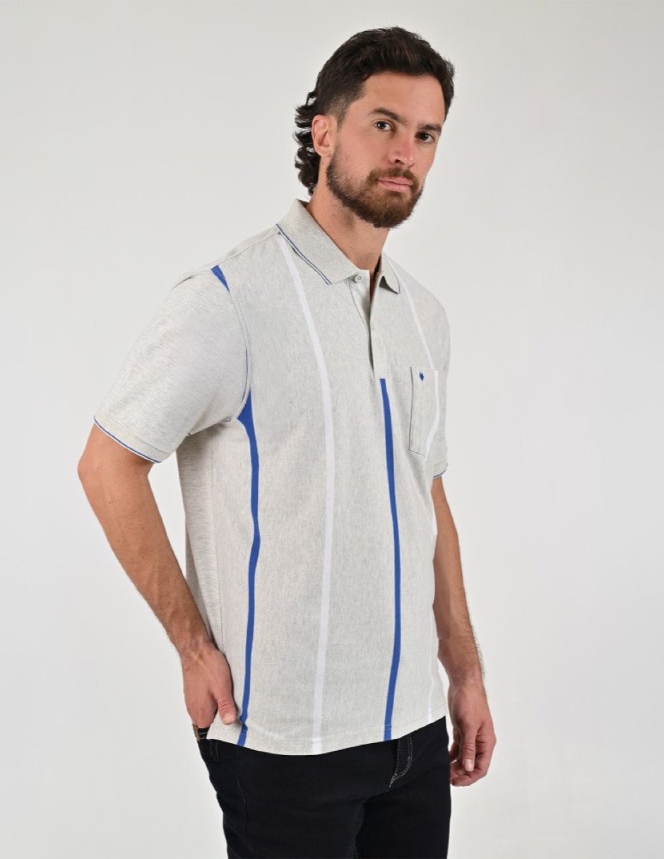 Playera tipo polo para hombre 2